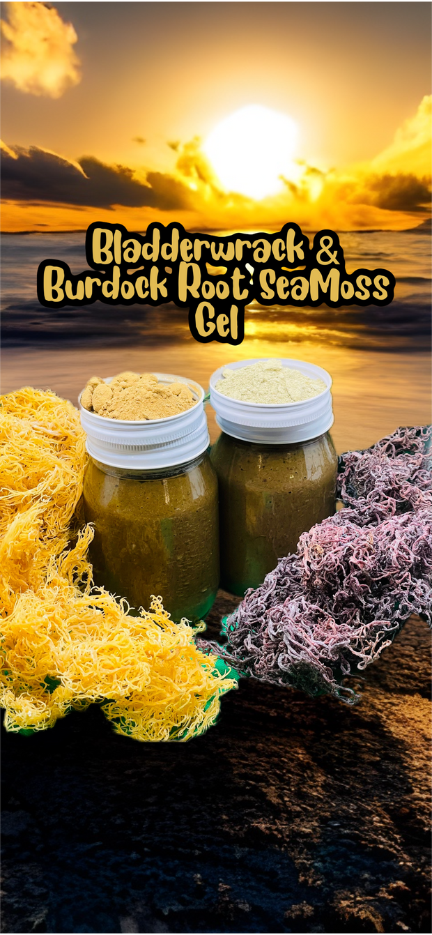 Bladderwrack and Burdock Irish Seamoss Gel